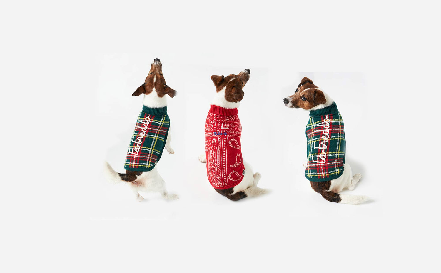 Furry Friends wardrobe - MC2 Saint Barth