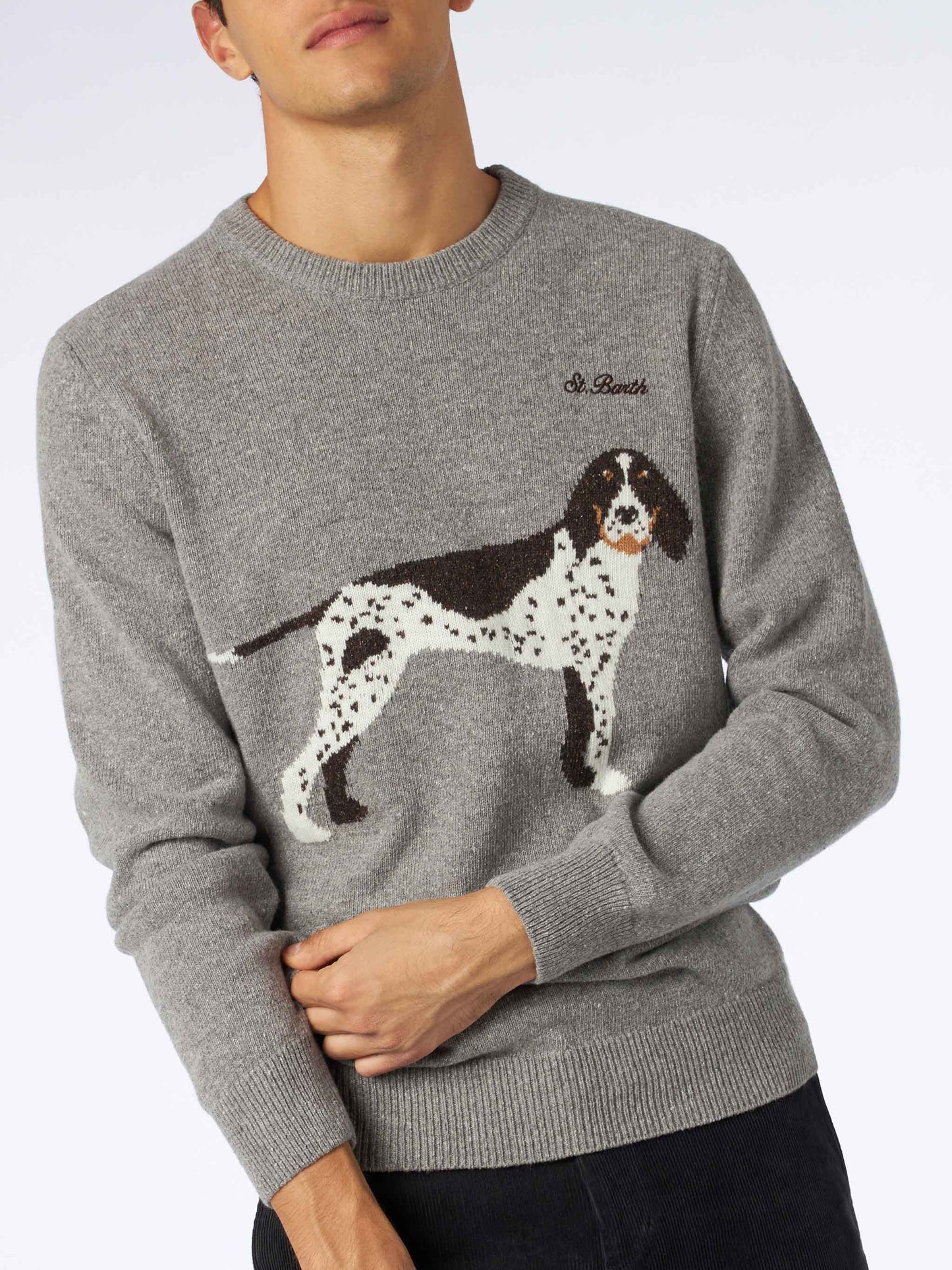 Man crewneck donegal sweater with country dog jacquard - MC2 Saint Barth