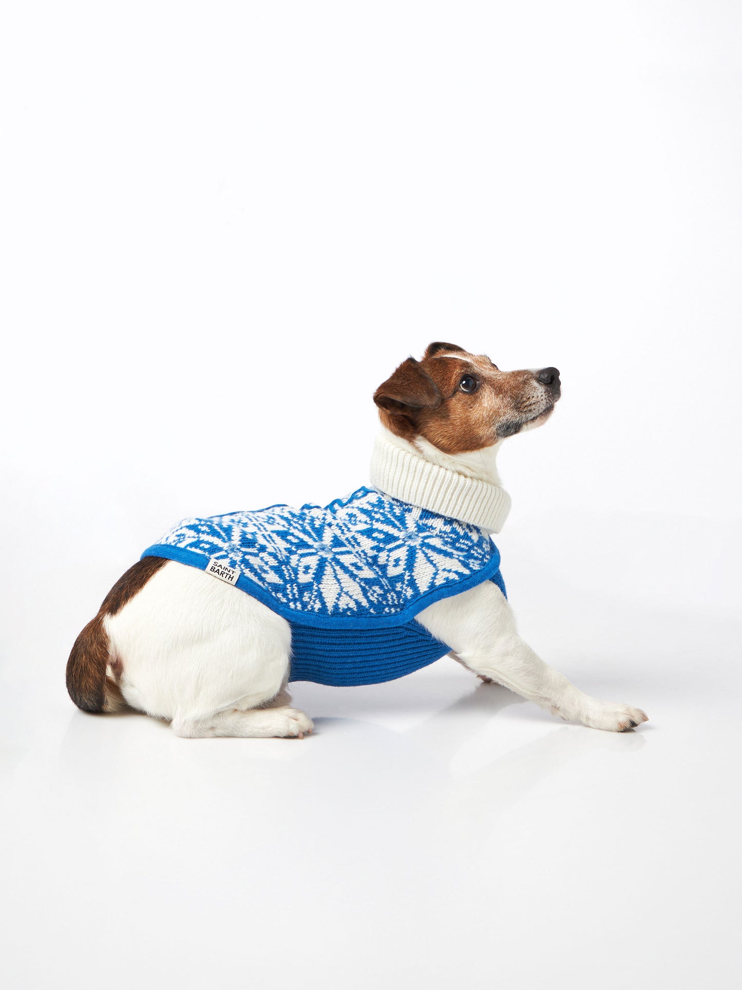 Dog sweater with nordic jacquard - MC2 Saint Barth