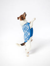 Dog sweater with Nordic print