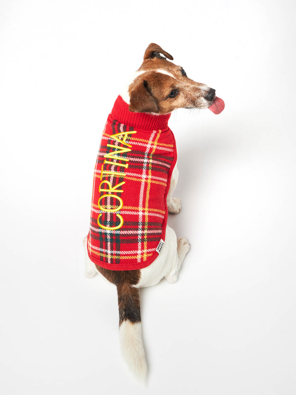 Hundepullover mit Tartan-Print