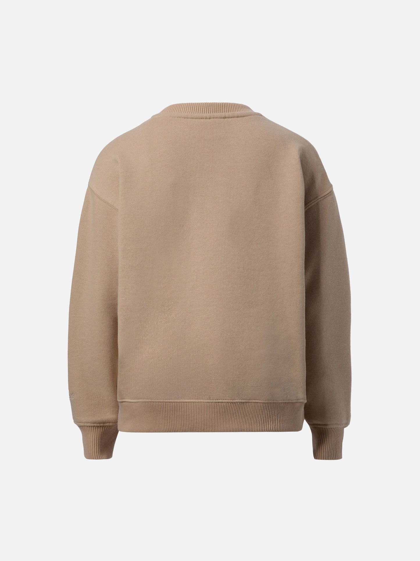 Briony crewneck sweatshirt with puppies print and embroidery