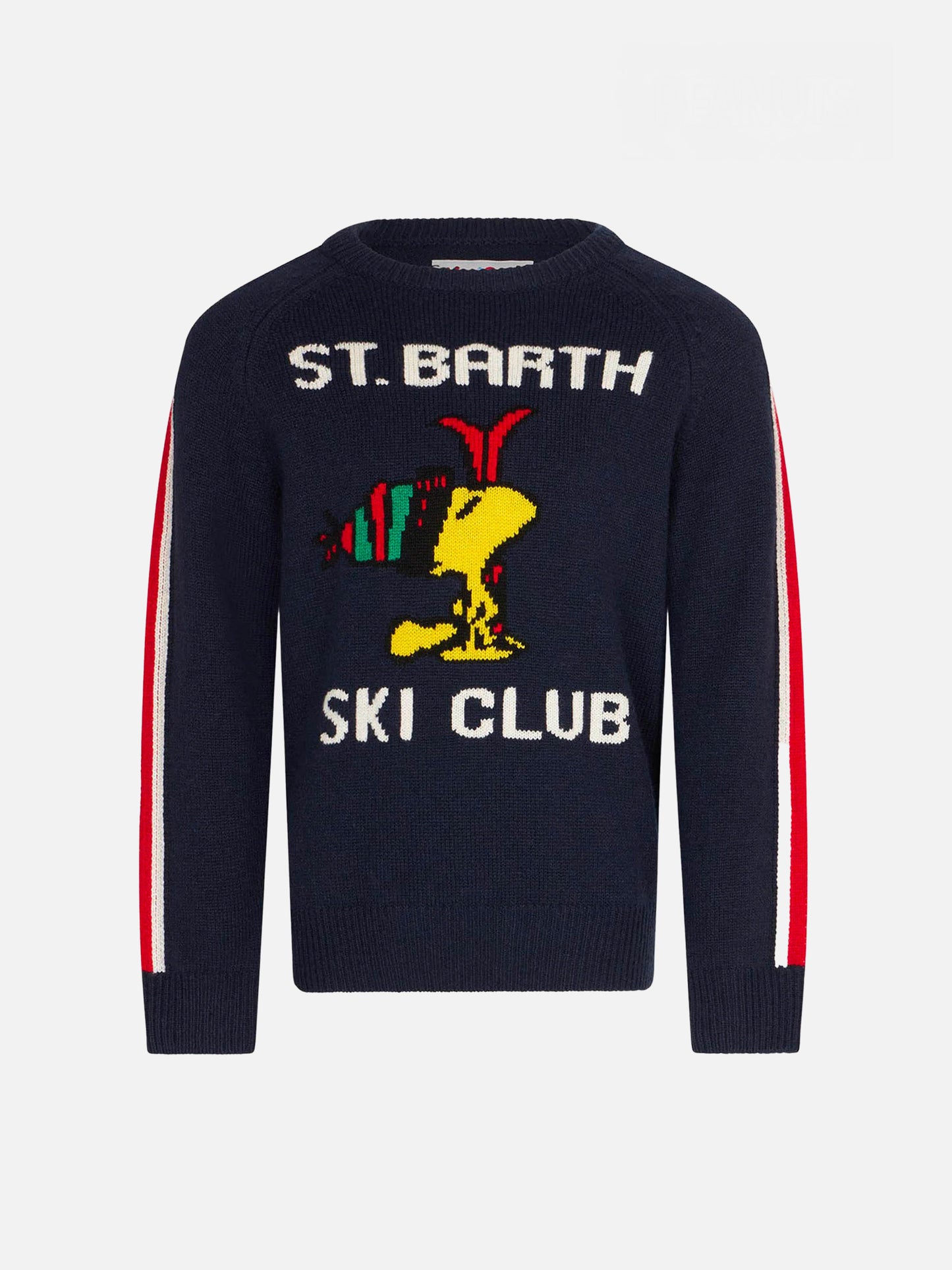 Maglione da bambino girocollo con stampa Woodstock | WOODSTOCK - EDIZIONE SPECIALE PEANUTS™