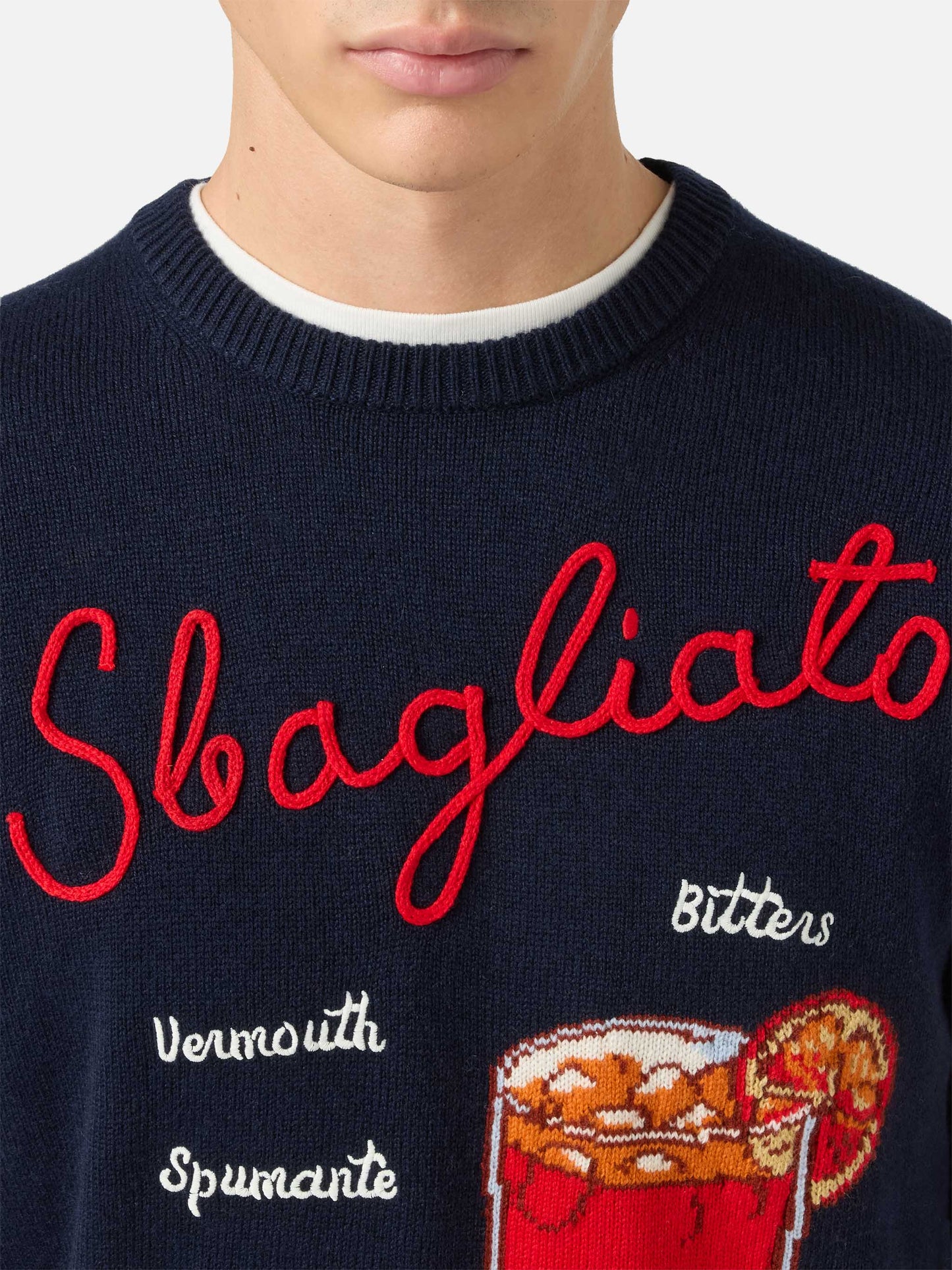 Blauer Pullover mit Reihermotiv und Sbagliato-Stickerei