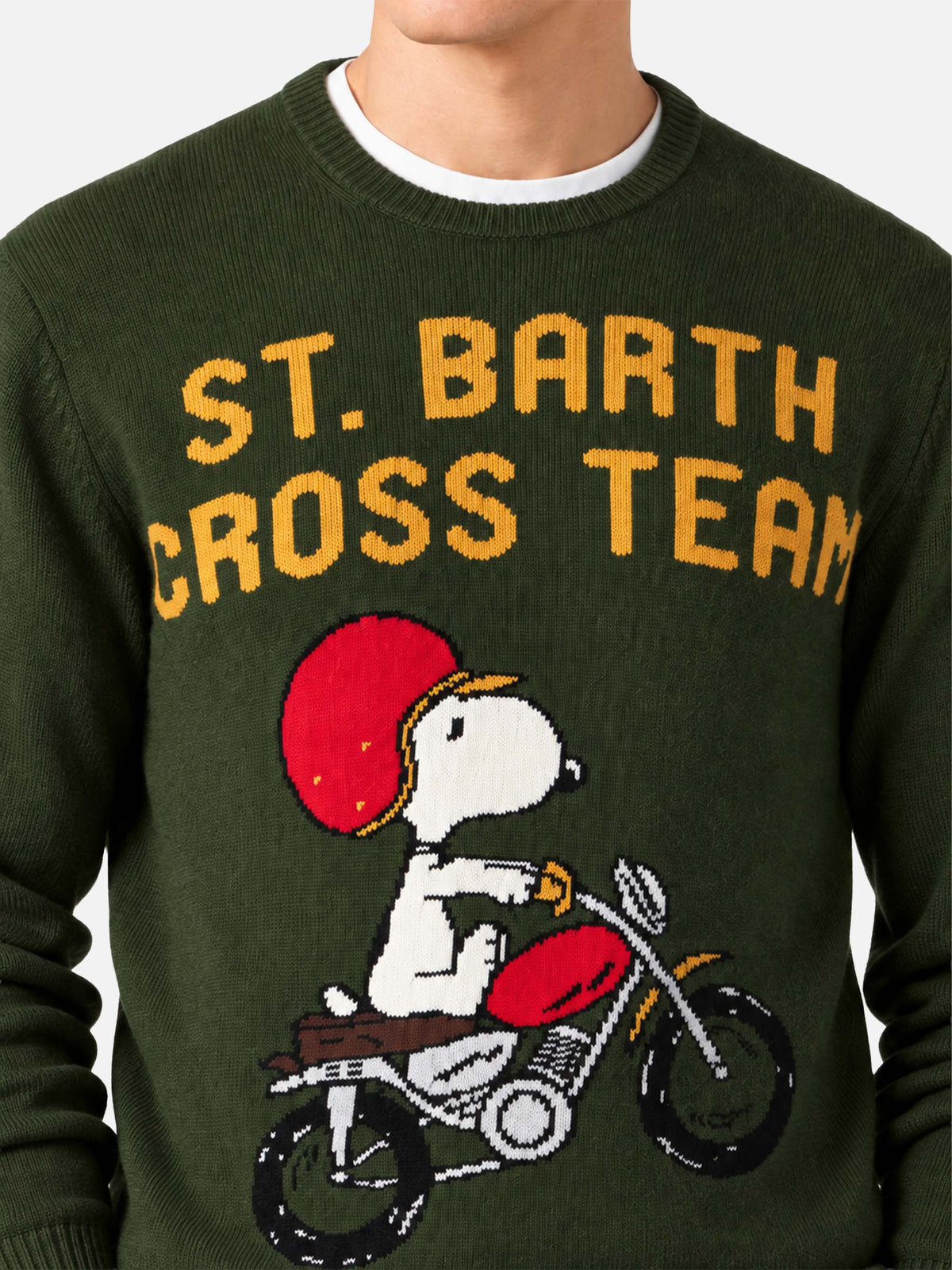 Heron Snoopy Jacquard-Pullover | Special Edition 