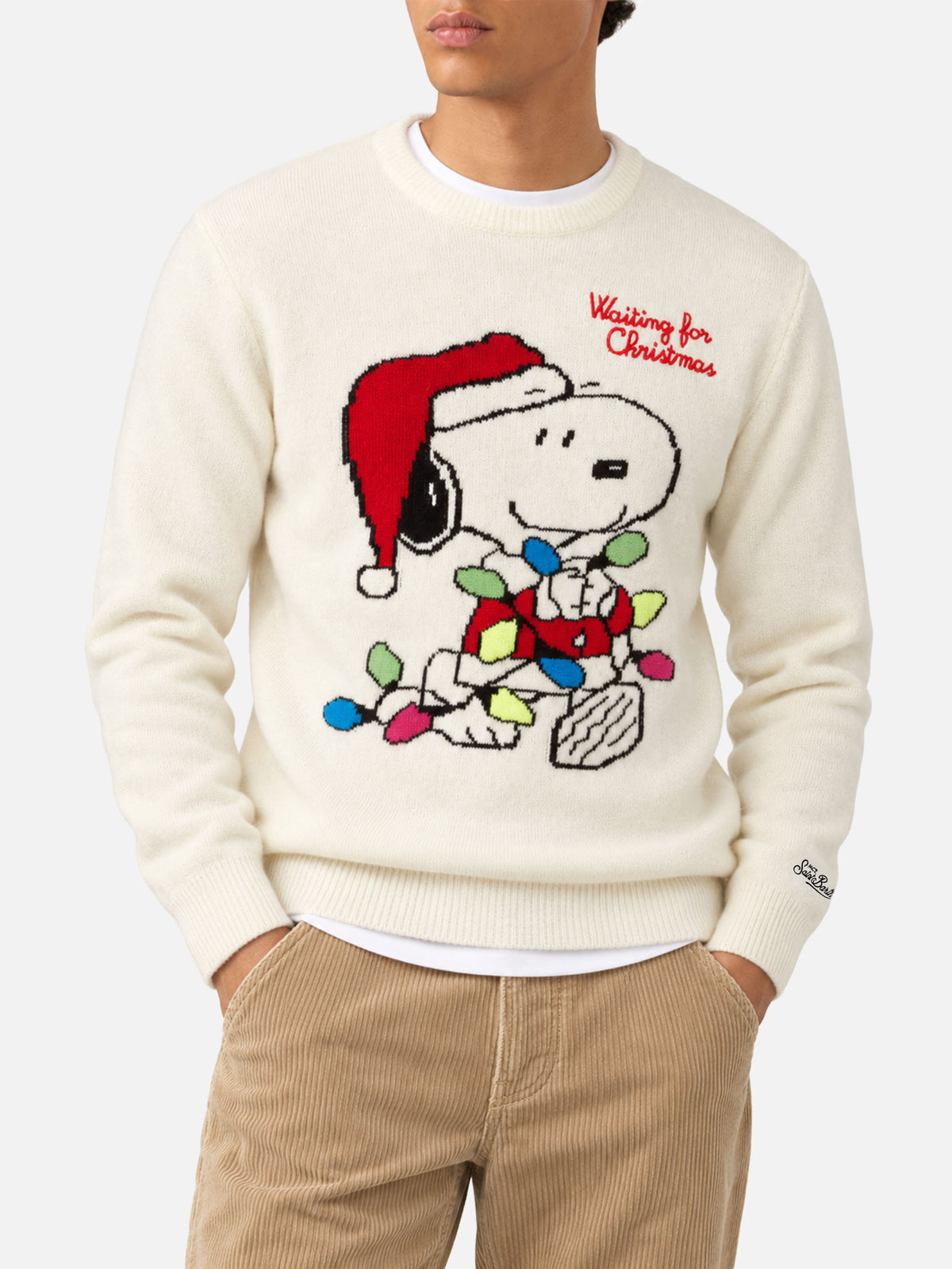 Pullover Heron mit Snoopy-Jacquard und Stickerei | SNOOPY PEANUTS® SPECIAL EDITION 
