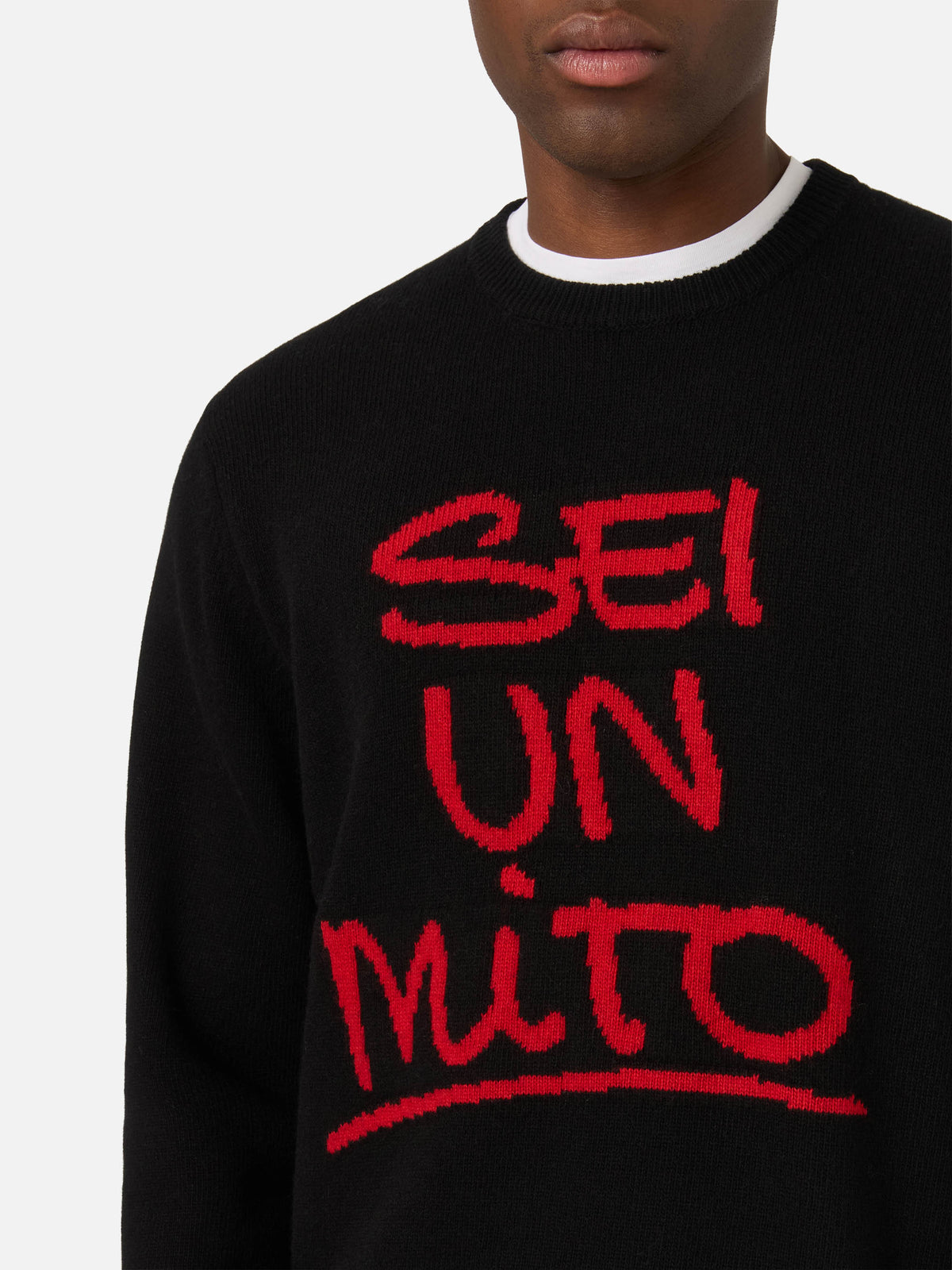 Black Heron crewneck knit with Sei Un Mito intarsia | Special edition