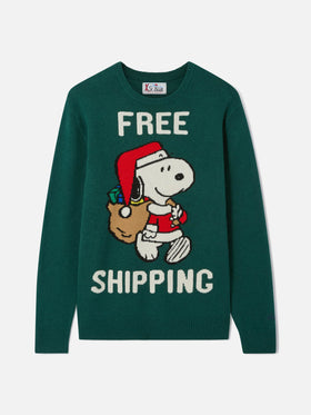 Pull vert Heron avec jacquard Snoopy | SNOOPY PEANUTS® SPECIAL EDITION 