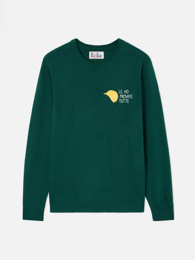 Maglia girocollo Heron Light verde in misto lana e cashmere con ricamo Amica Chips | Special edition