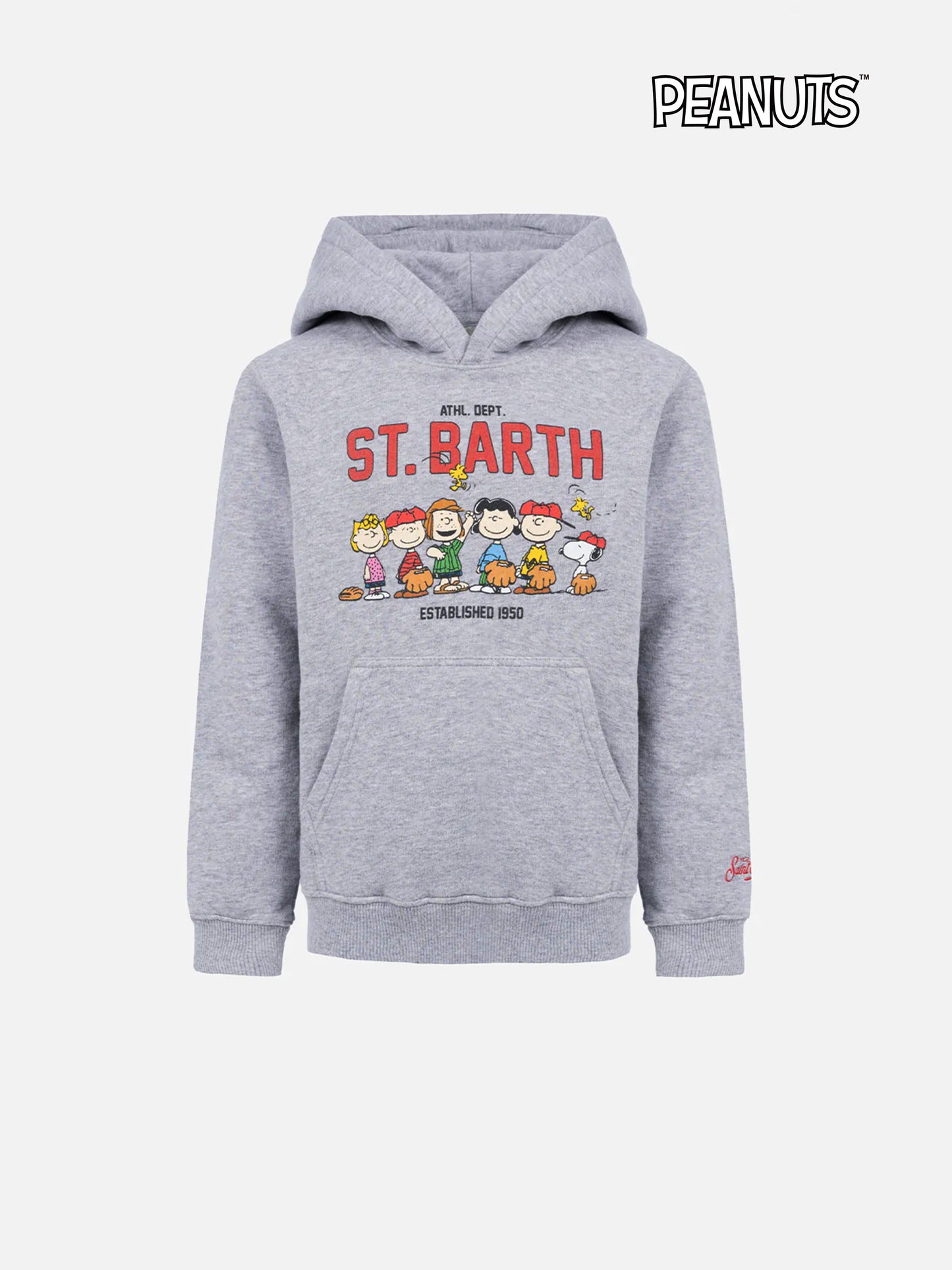 Boy grey sweatshirt Oliver with Peanuts print | SNOOPY PEANUTS SPECIAL EDITION