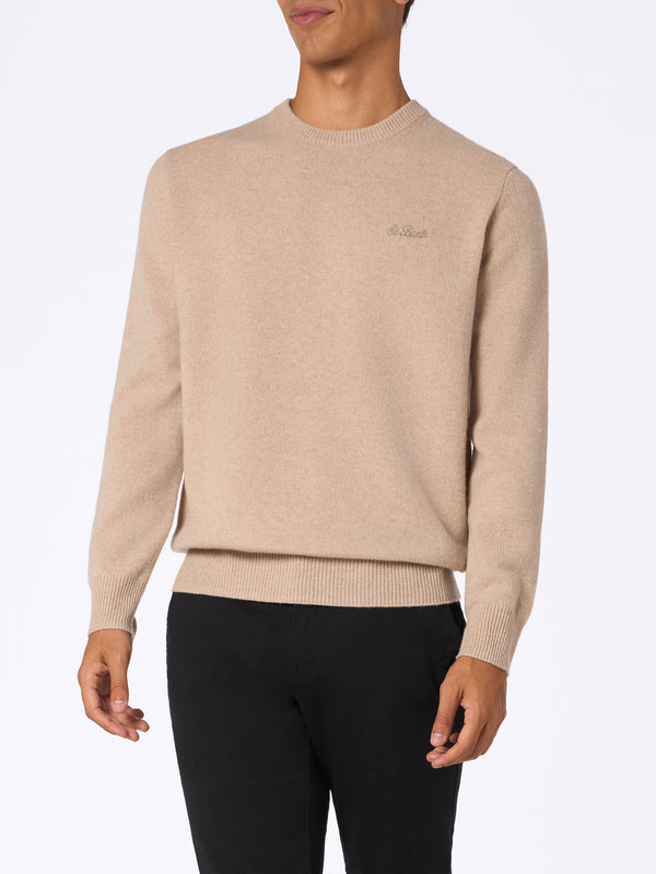 Man beige lambswool sweater Regent