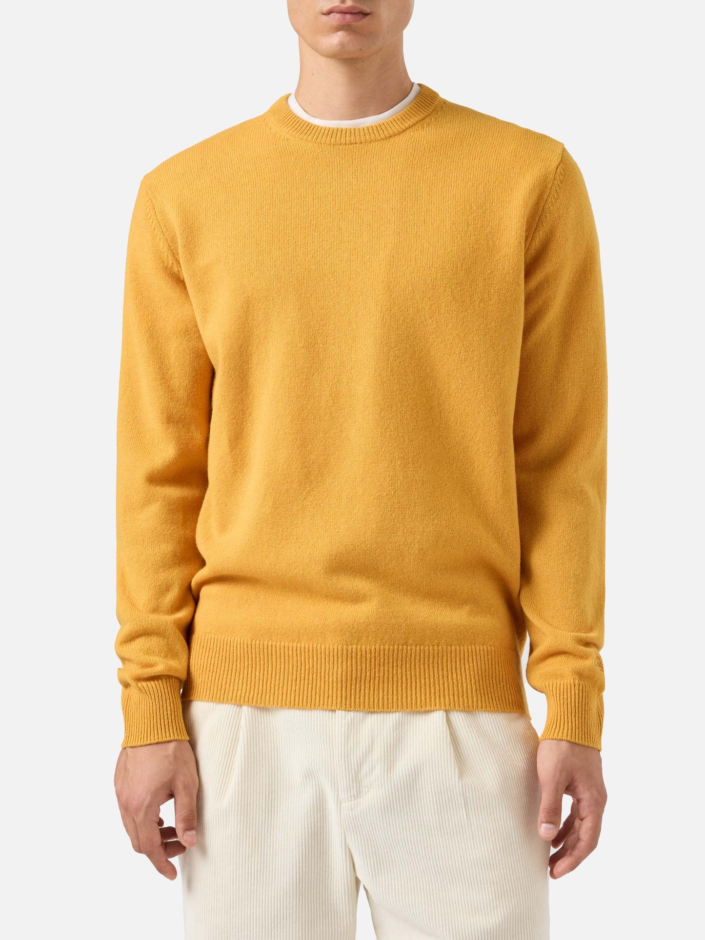 Maglione Regent in 100% LAMBSWOOL giallo ocra