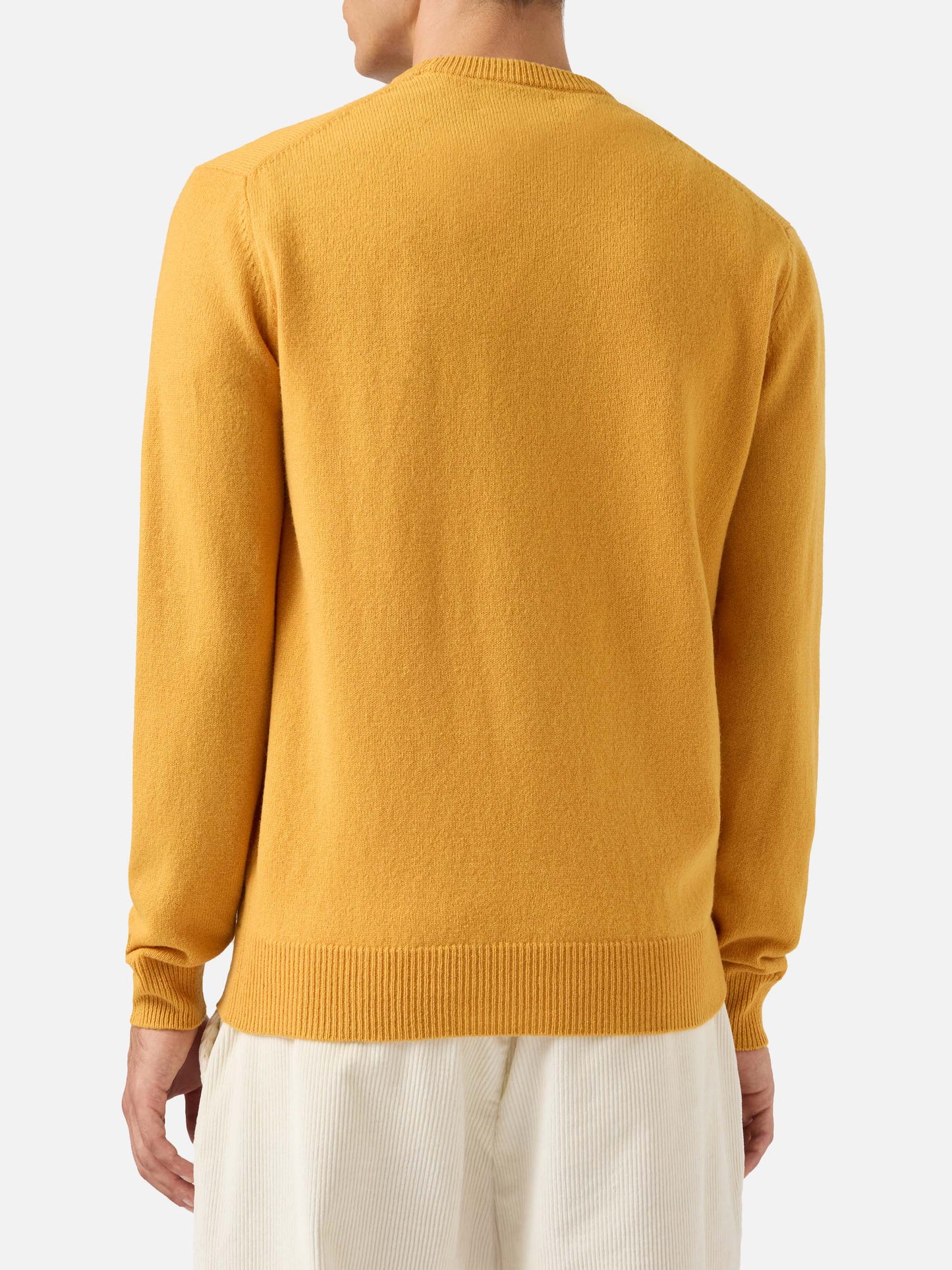 Maglione Regent in 100% LAMBSWOOL giallo ocra