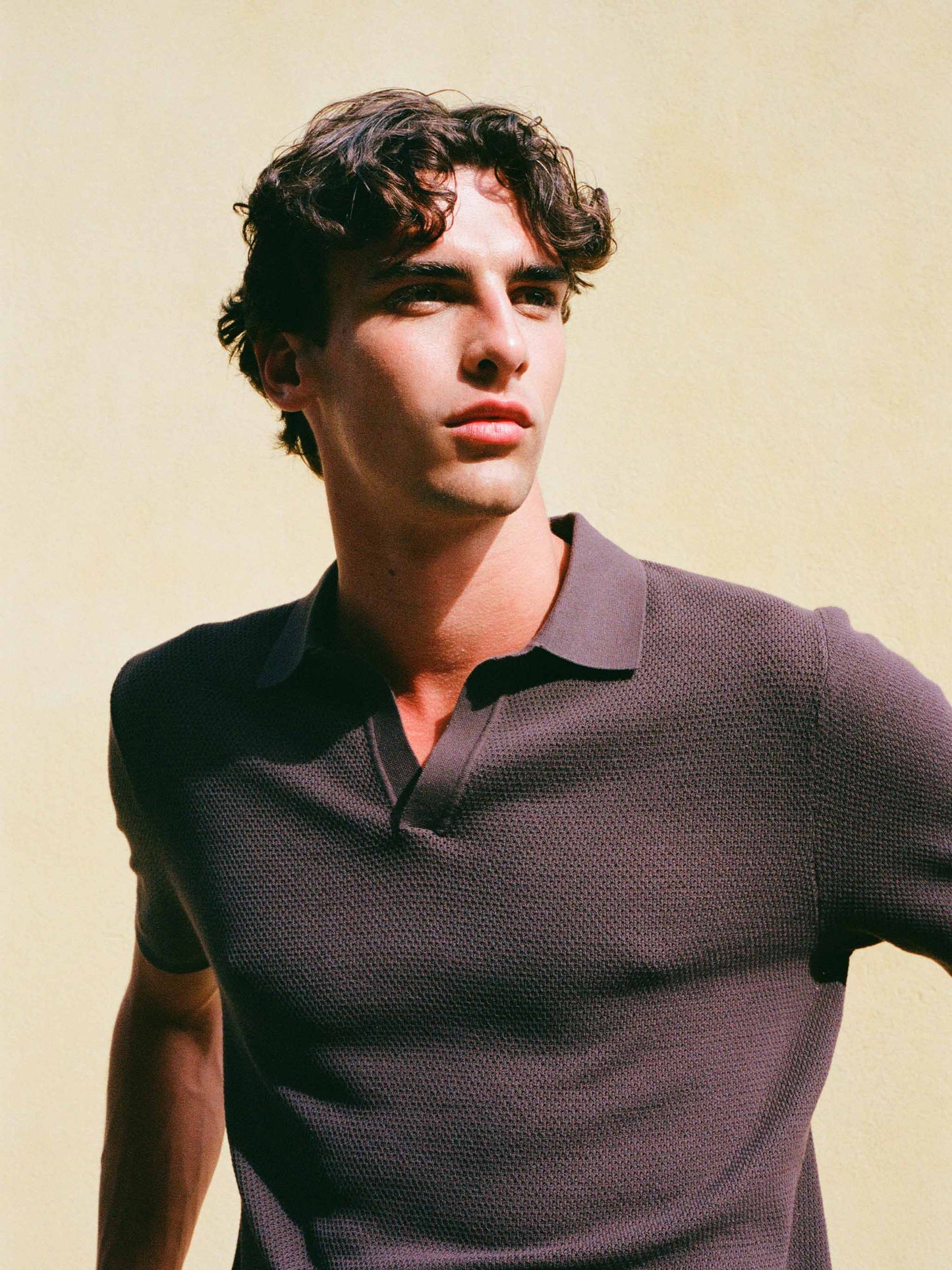 Sloan brown buttonless mesh knitted polo shirt