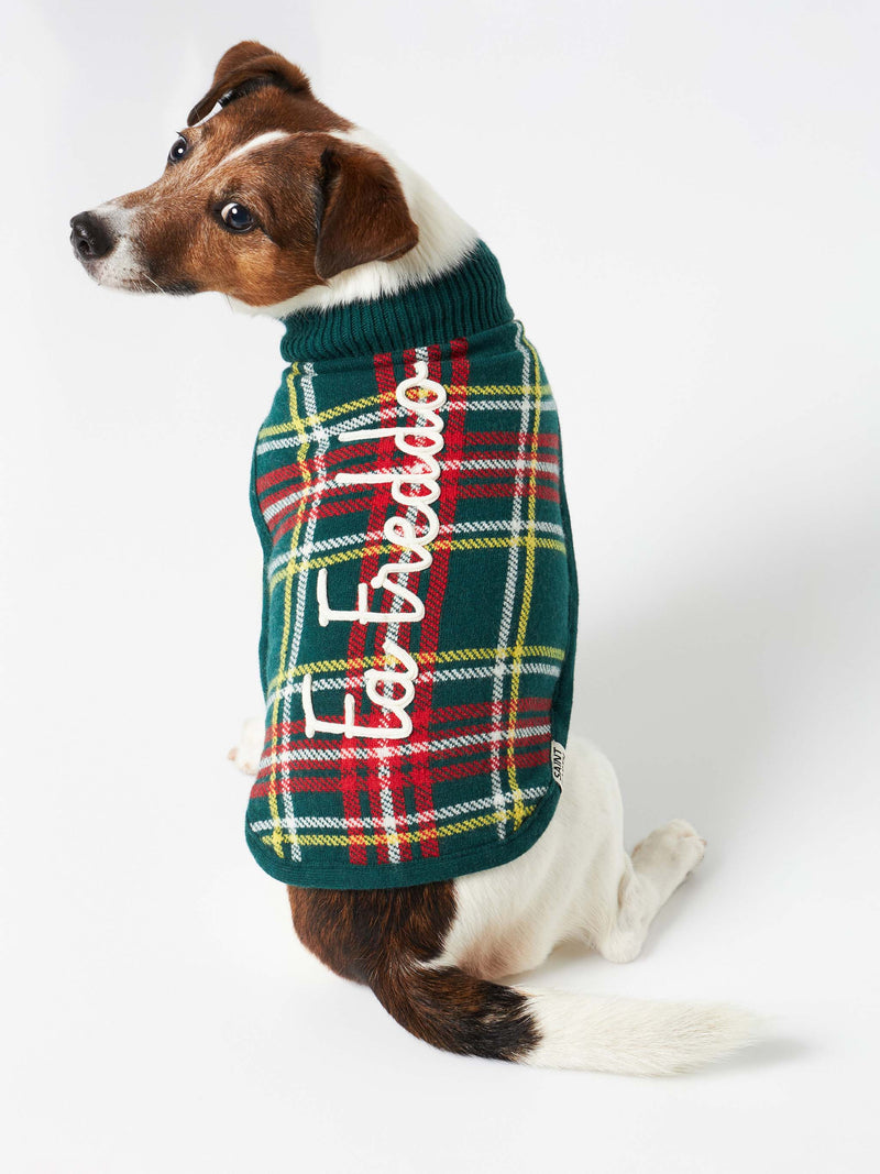 Hundepullover mit Tartan-Print