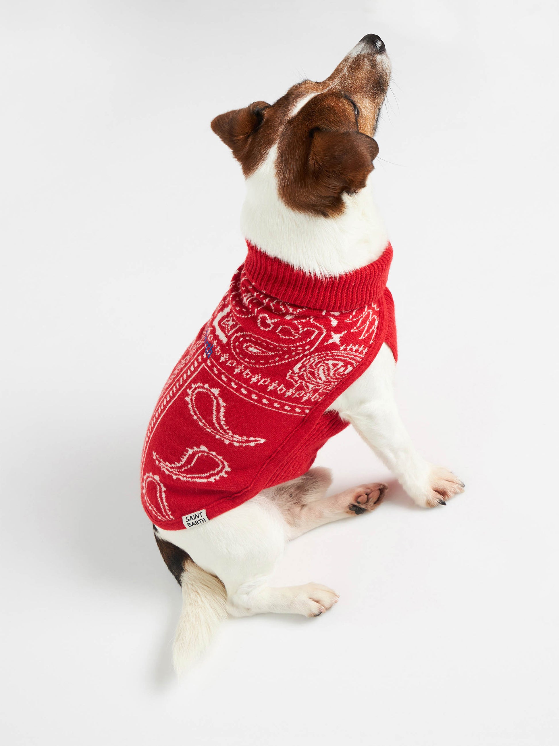Dog sweater with bandanna jacquard - MC2 Saint Barth